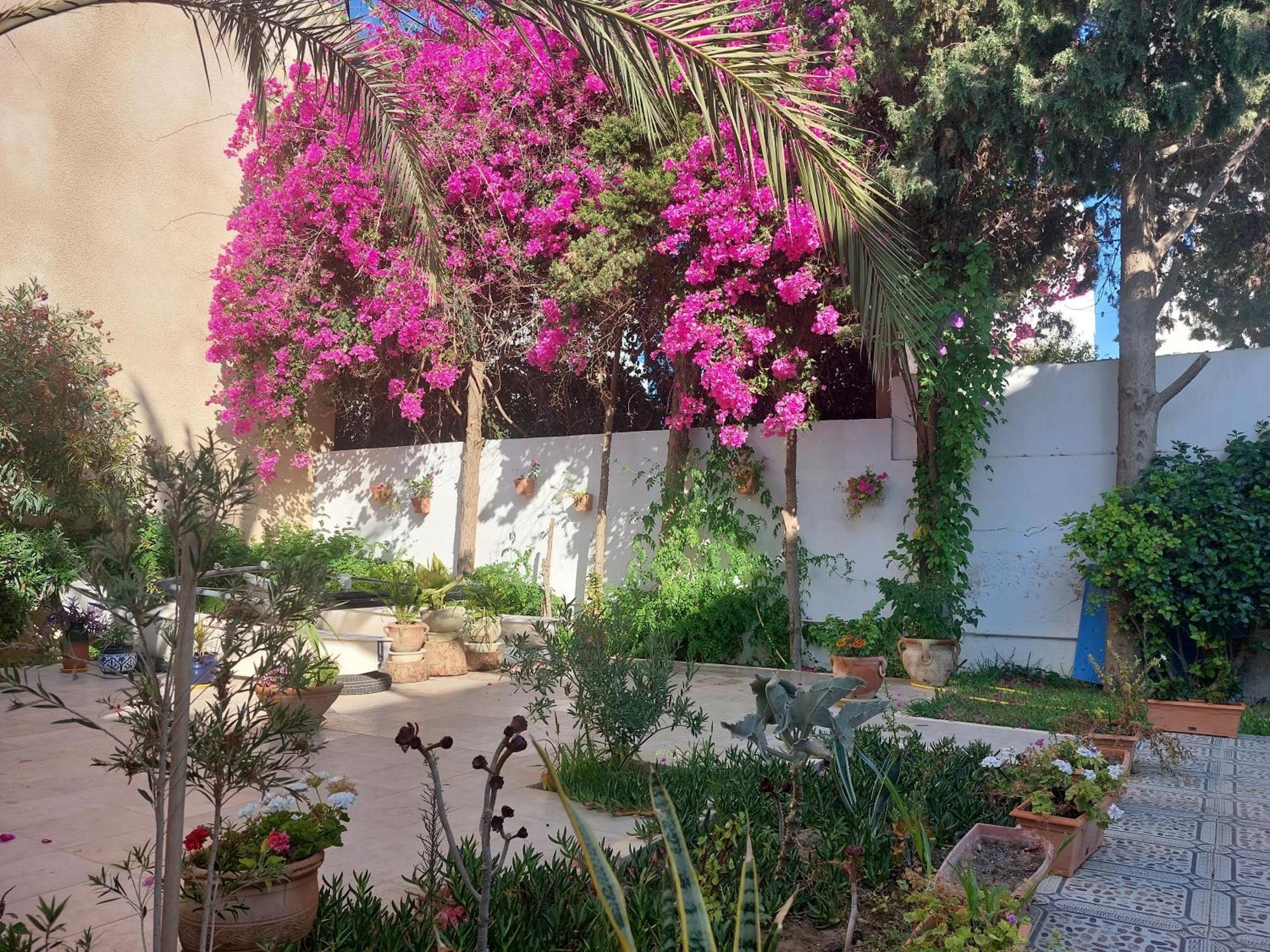 Villa Azaiiza Sousse Exteriör bild